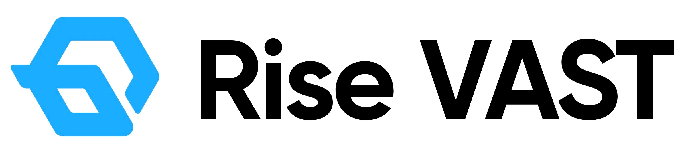 Rise VAST logo
